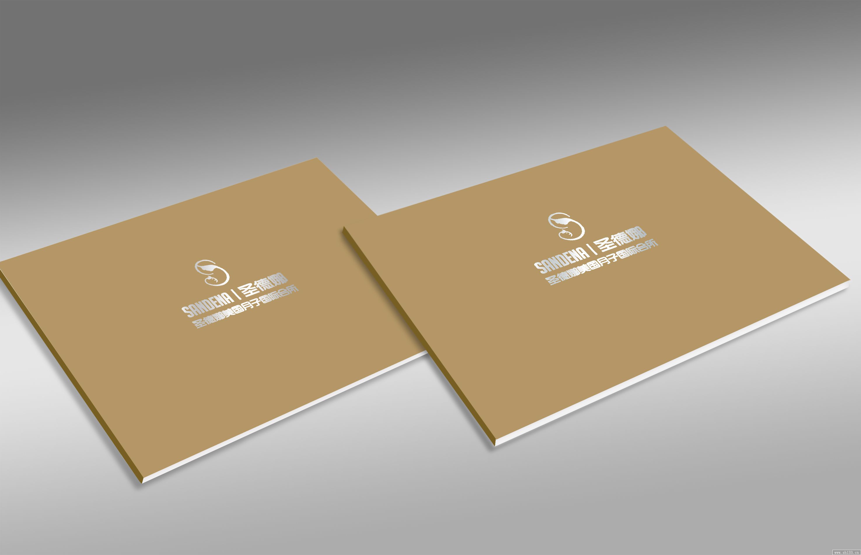 圣德娜宣傳畫冊設計印刷制作